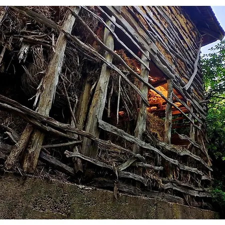 Zvezdano Nebo * Svrljig