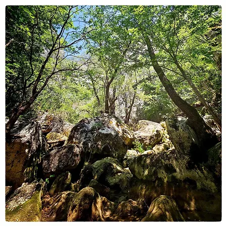 Apartamento Zvezdano Nebo *