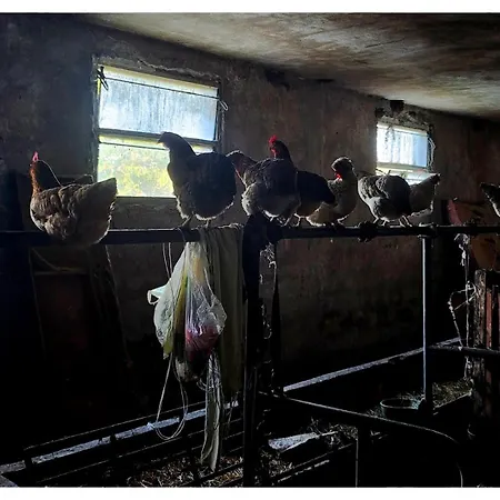 Apartamento Zvezdano Nebo *