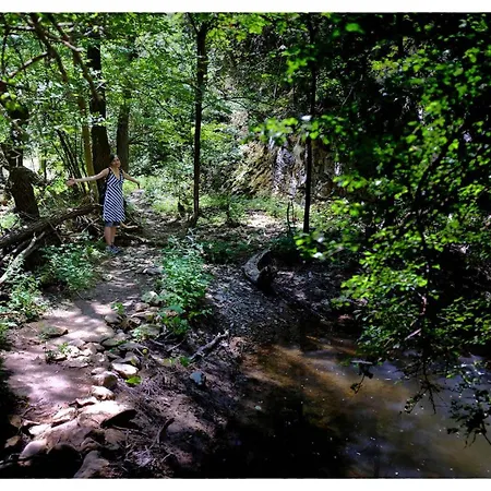 Zvezdano Nebo Svrljig