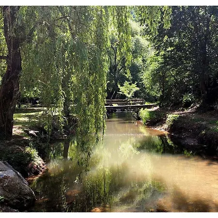 Zvezdano Nebo Svrljig