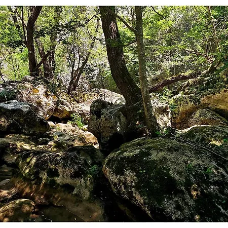 Apartamento Zvezdano Nebo Svrljig