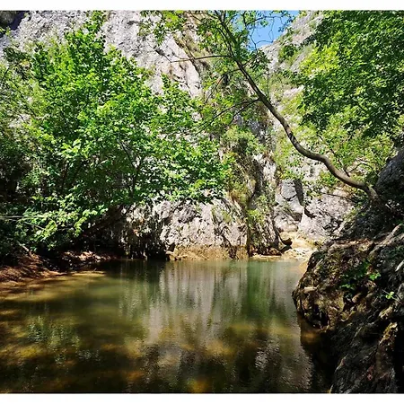 Zvezdano Nebo Svrljig