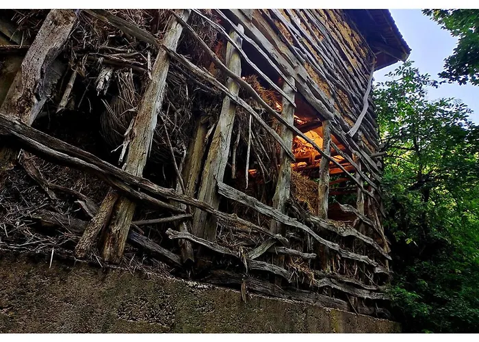 Zvezdano Nebo * Svrljig