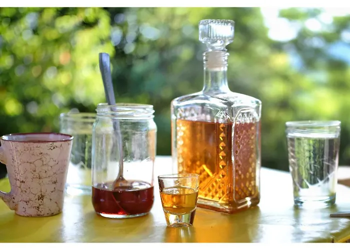 Апартаменты Zvezdano Nebo Svrljig