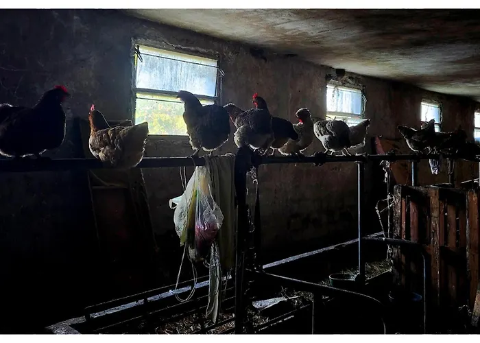 Апартаменты Zvezdano Nebo *