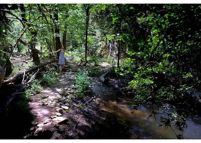 Zvezdano Nebo Svrljig