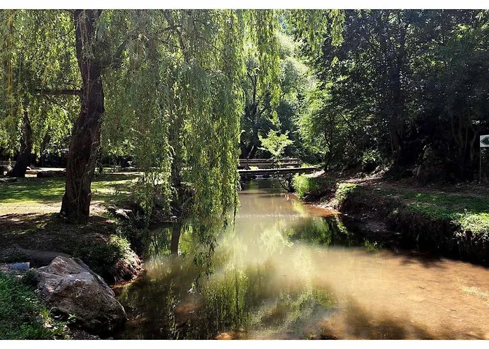 Zvezdano Nebo Svrljig