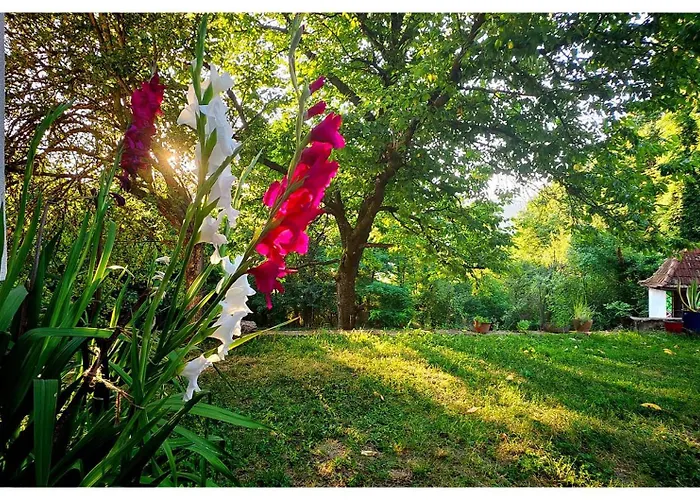 Апартаменты Zvezdano Nebo *