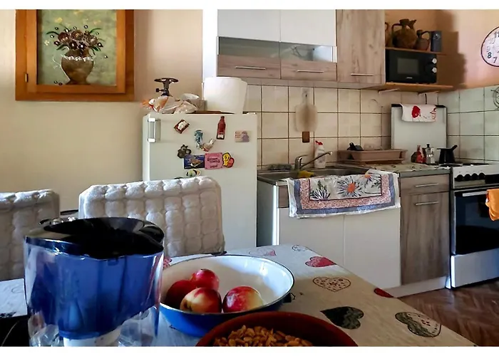 Апартаменты Zvezdano Nebo Svrljig