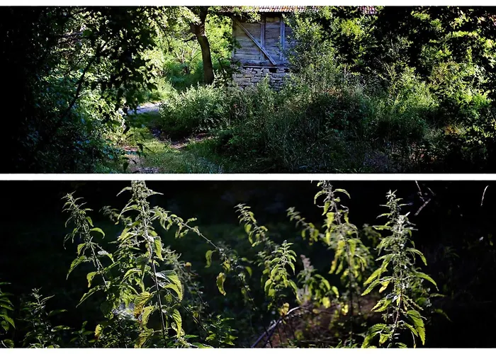 Zvezdano Nebo * Svrljig