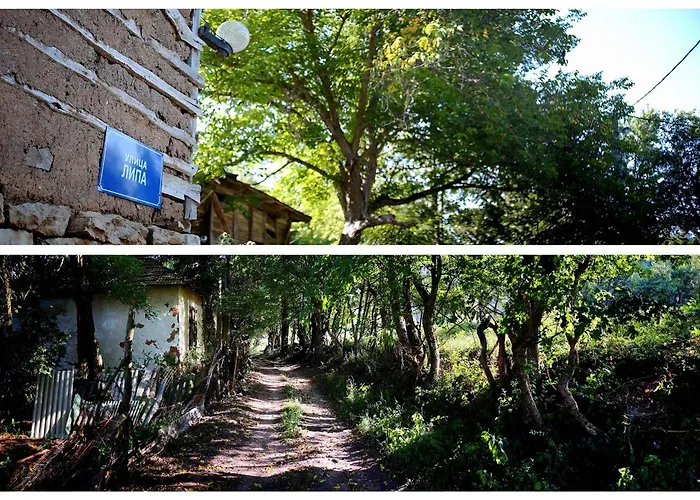 Апартаменты Zvezdano Nebo Svrljig